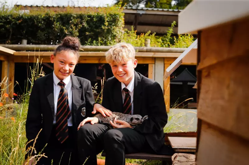 Beyond the Classroom: Inside Britain's Extraordinary School with Meerkats and Sugar Gliders