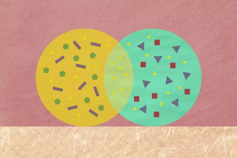 Private Equity's Bold Move: Why Law and Accounting Firms Are the New Wealth Targets