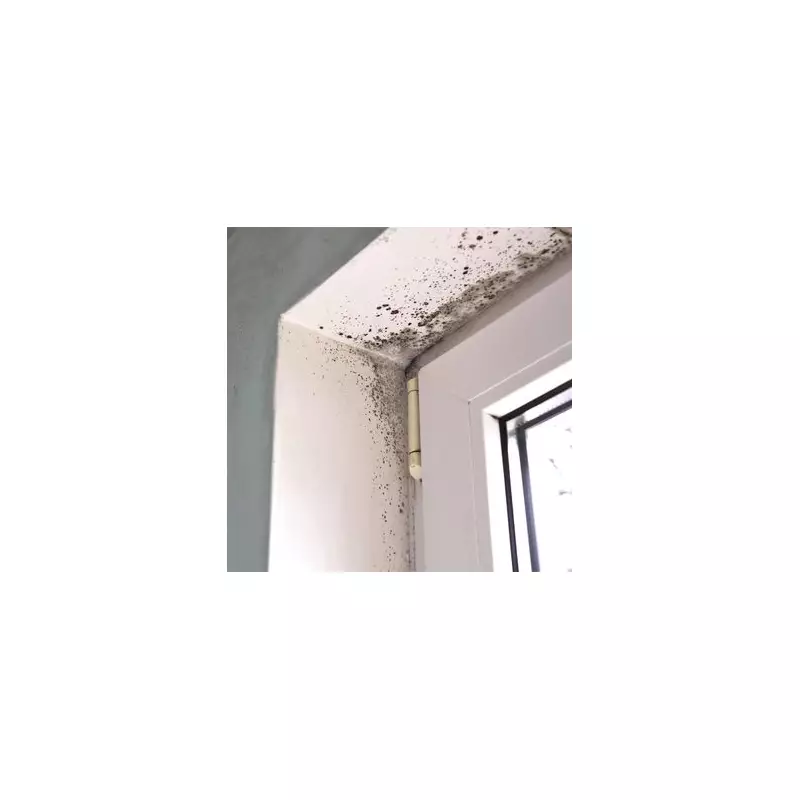 South London Borough Crowned Among UK's Best Councils for Housing Delivery