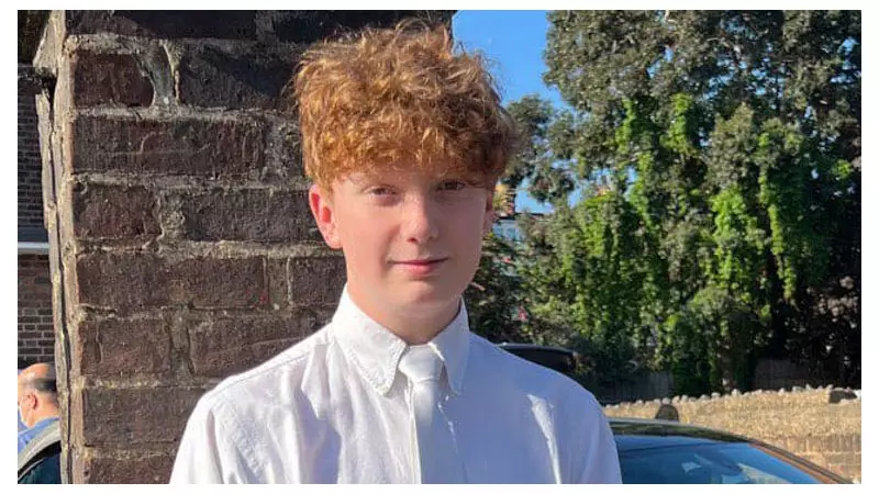 Teenage Killer Convicted for Harry Pitman's New Year's Eve Murder on Primrose Hill