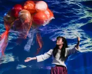 Arts Funding Crisis Deepens as England's Council Portal Remains Broken