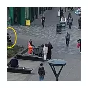 Father of Three Fatally Stabbed in Random Bank Attack by Failed Asylum Seeker