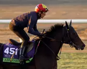 Frankie Dettori's Final Farewell: What's Next for Racing's Most Charismatic Star?