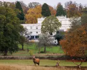 MPs Demand Answers Over Prince Andrew's 'Peppercorn Rent' at Royal Lodge