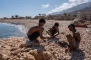 Socotra's Alien Paradise Under Threat: Yemen's Turmoil Endangers Unique Ecosystem