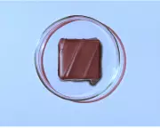 The Future of Halloween: Lab-Grown Chocolate Arrives to Sweeten Sustainable Celebrations
