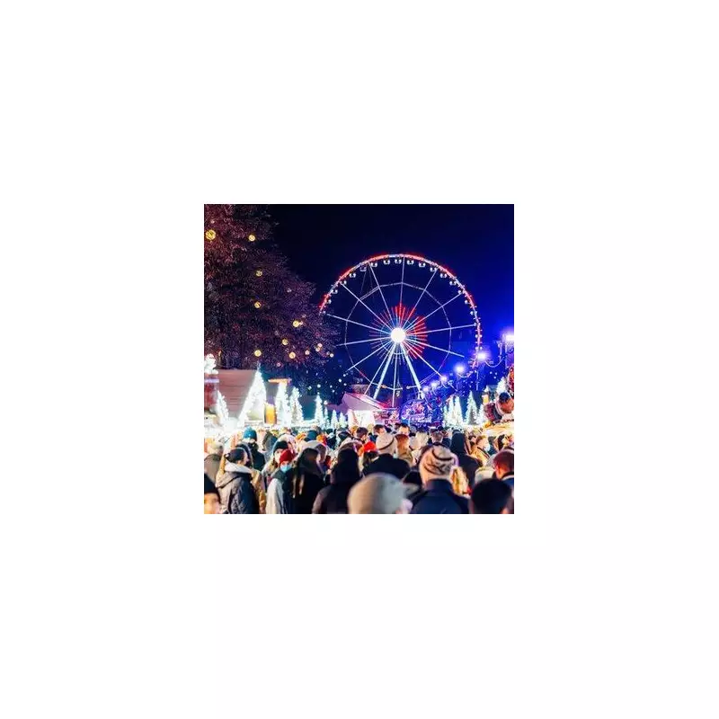 60 Christmas Markets Visited: Expert Reveals Best Time to Beat Crowds