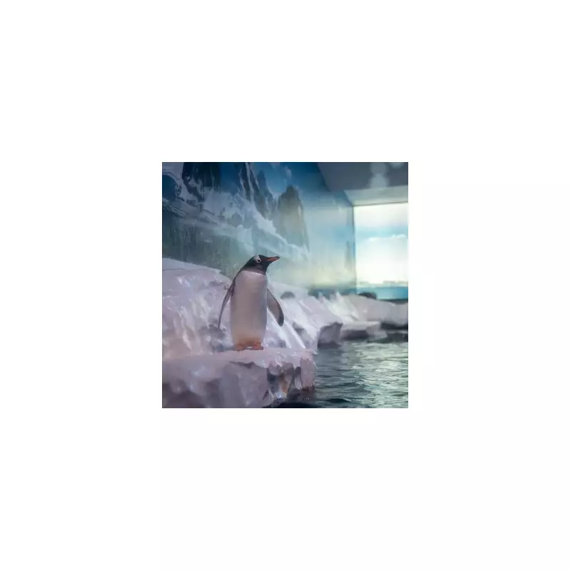 75 MPs Demand Release of 'Basement' Penguins at Sea Life London