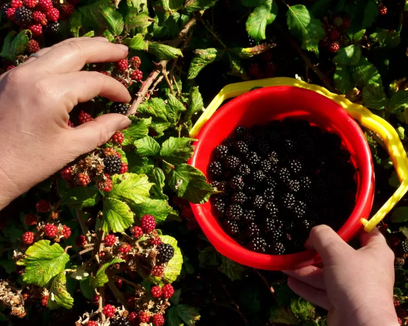 9 Eco-Conscious Gifts That Make a Real Difference in 2025