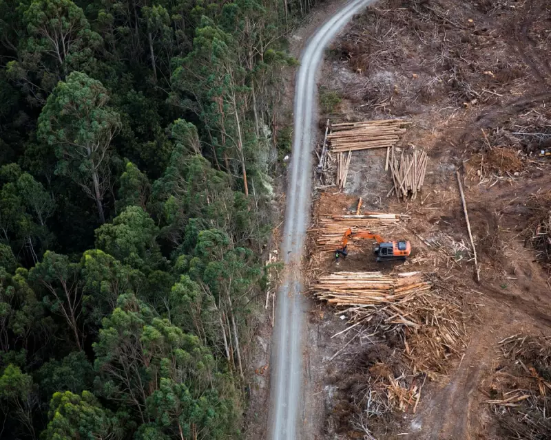 Alarming Loophole in Labour's Environmental Laws Sparks Integrity Concerns