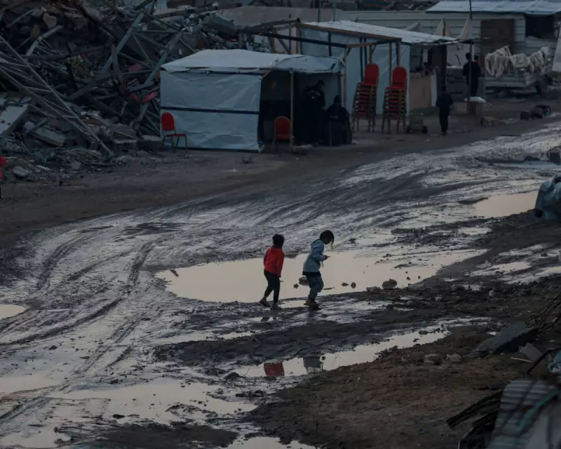 Amnesty: 352 Killed in Gaza Since Ceasefire, Genocide Continues