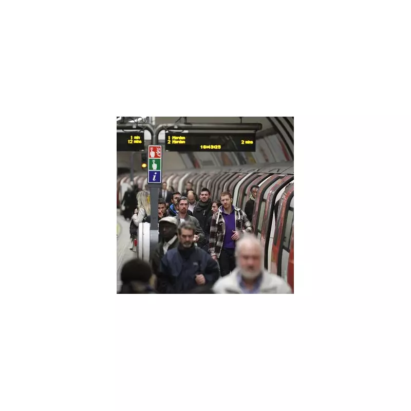 Animal on Tracks Halts Two London Tube Lines, Causing Major Delays