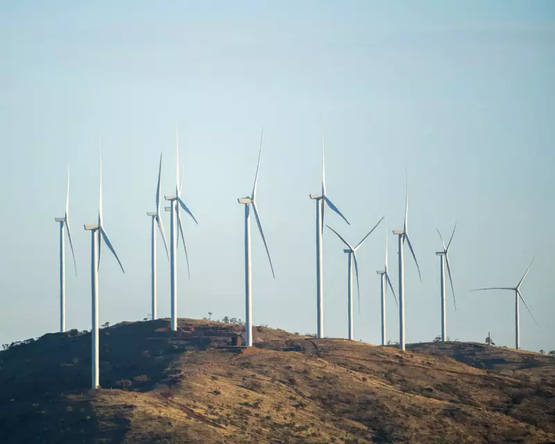 Australian Coalition Splits Over Net Zero as Neo-Nazi Rally Disrupts NSW