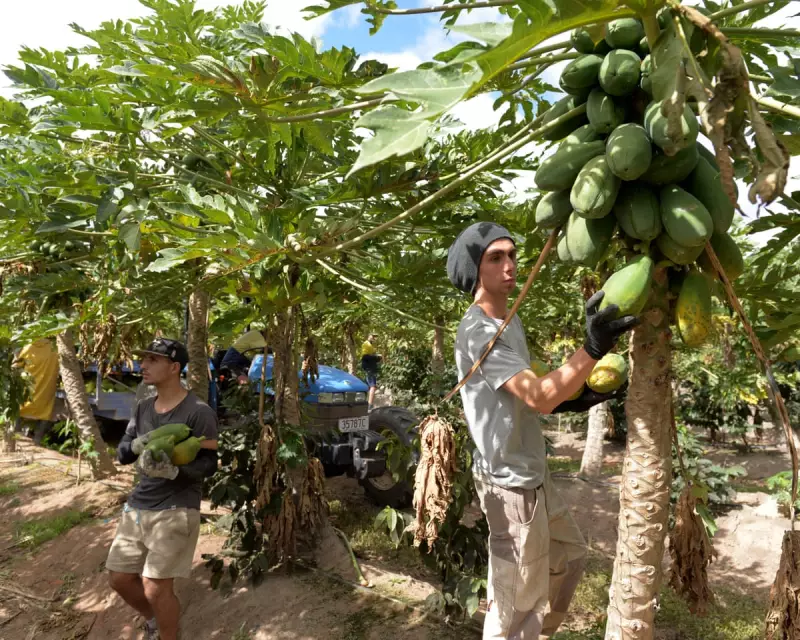 Beyond Travel: The Financial Reality of Gap Years for UK Students