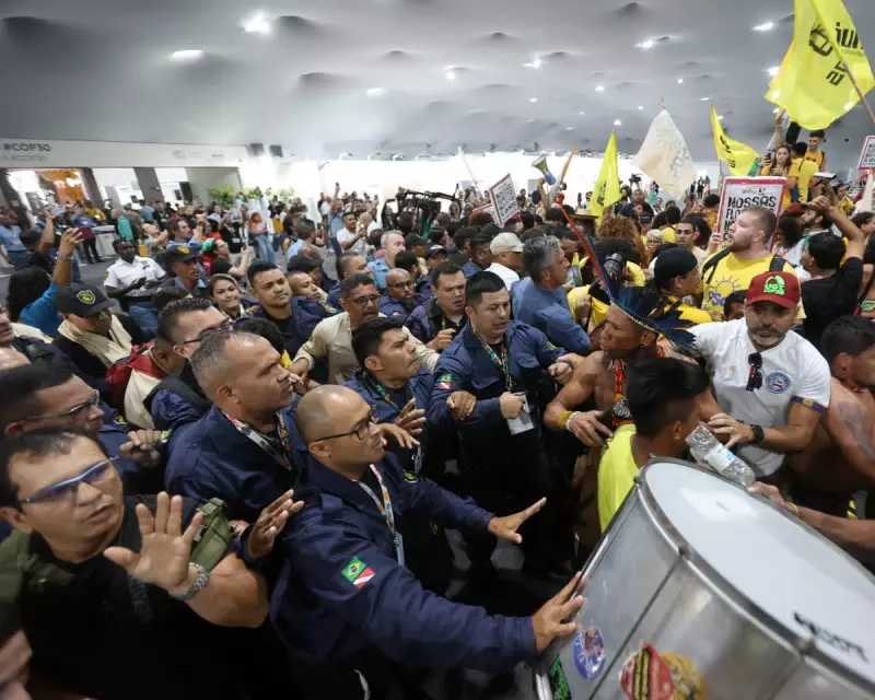 Boardroom Climate Focus Falters as COP30 Approaches, Study Reveals