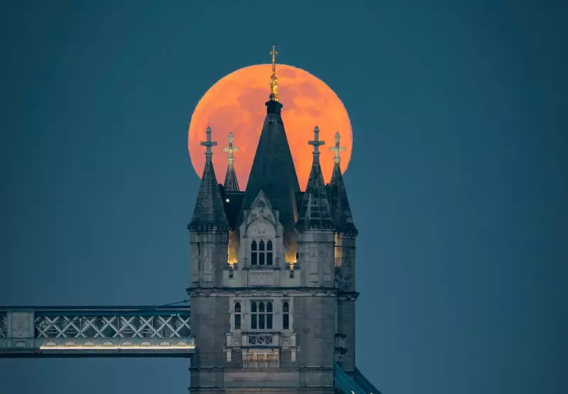 Bonfire Night Supermoon 2025: London to Witness Most Spectacular Lunar Display of the Year