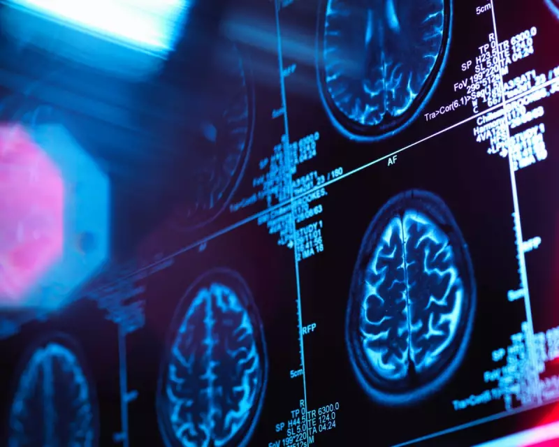 Brain Has 5 Key Life Stages, Adult Mode Starts at 32