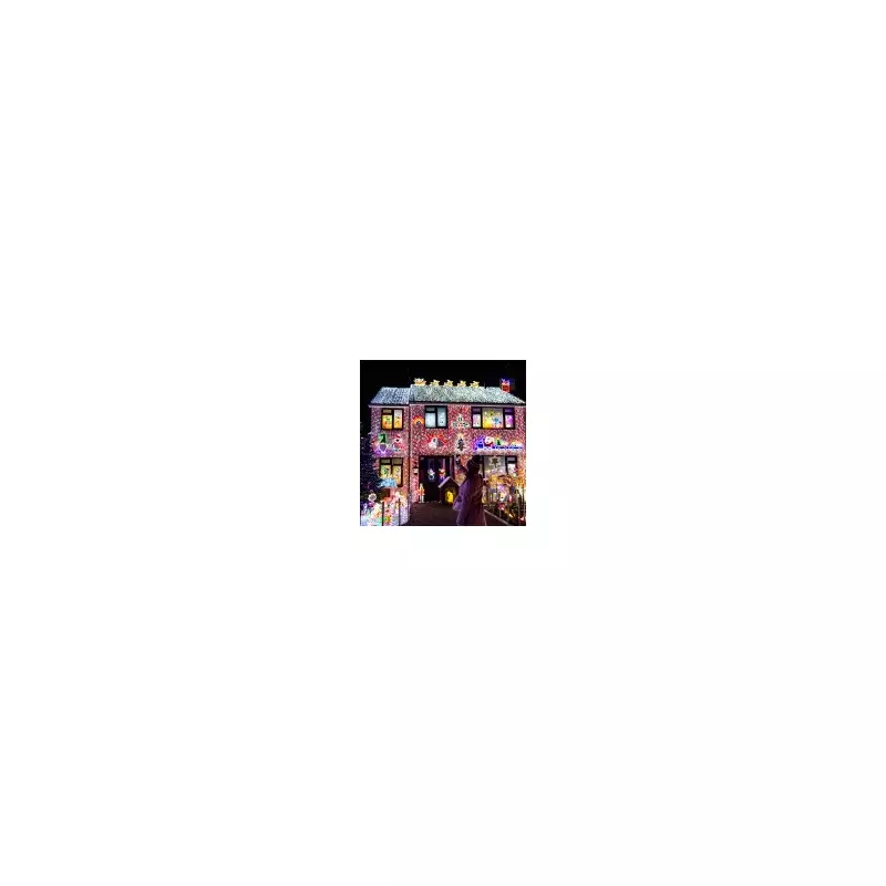 Bristol Family's 150,000-Light Christmas Display Wows Crowds