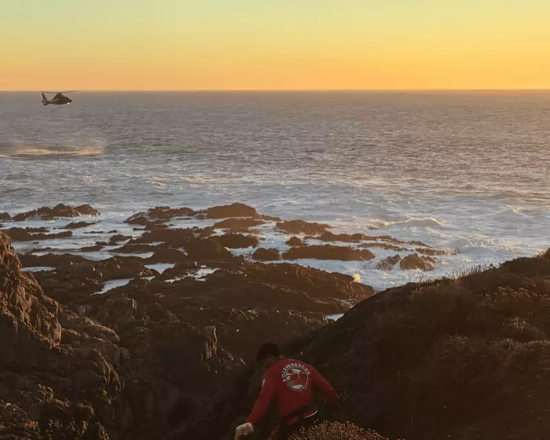 California Coast Search: Man Swept to Sea at Big Sur State Park