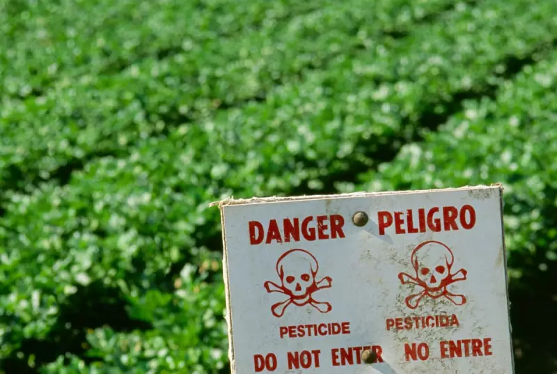 California Farms Sprayed 15 Million Pounds of PFAS on Crops