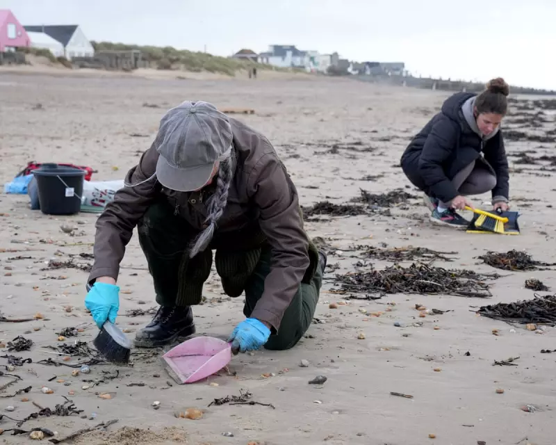 Camber Sands Plastic Bead Spill: 650 Million Toxic Beads Pollute Sussex Coast