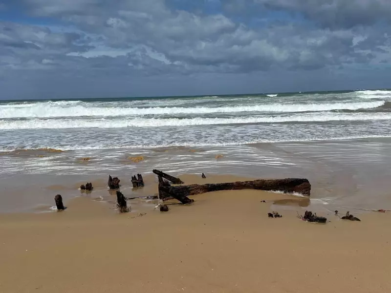 Century-Old Shipwreck Mystery Unearthed on Victorian Beach