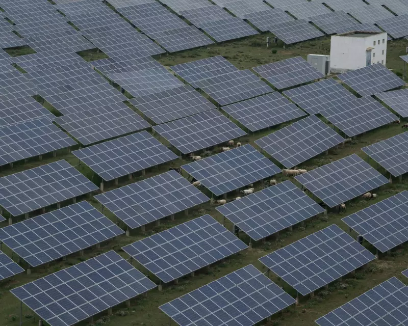 China Resists Sole Climate Leadership Role at COP30 Summit