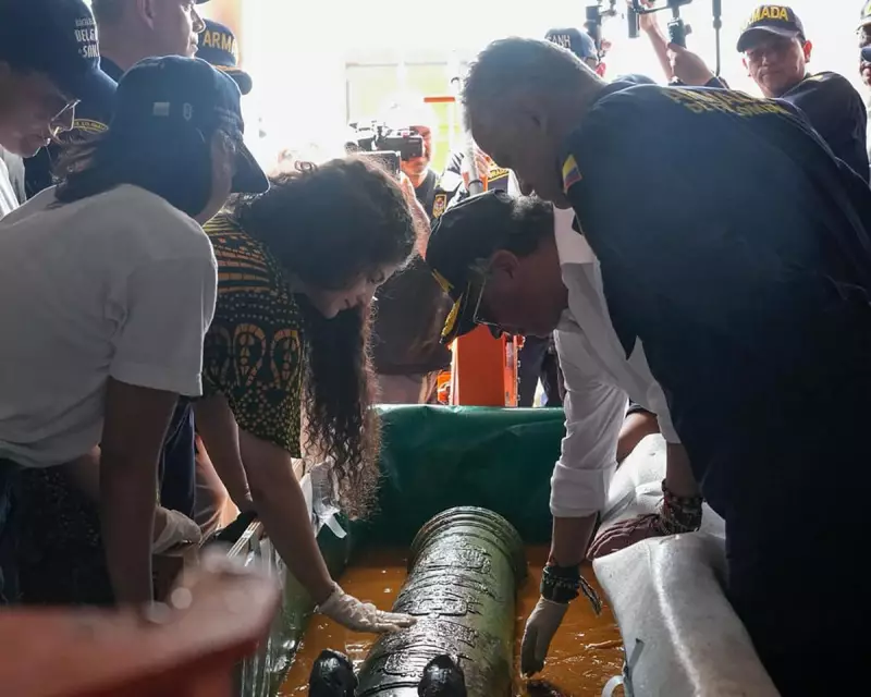 Colombia Recovers First Treasures from San José Shipwreck