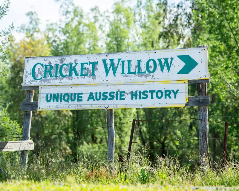 Cricket Willow: From 1902 Ashes to Australia's Bat-Making Heartland