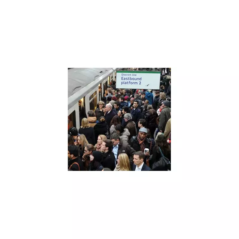 District Line Disrupted After Casualty on Tracks | London Travel Chaos