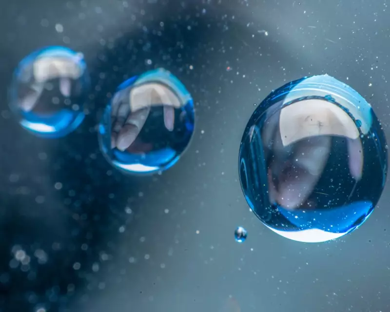 Eireann Lorsung's 'Simile': A Lyrical Exploration of Memory and Connection