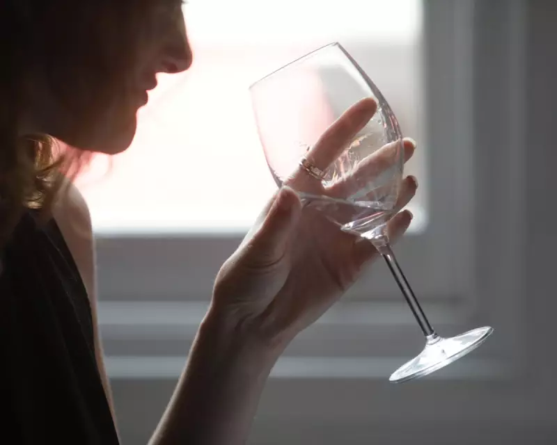 EU Court Bans 'Non-Alcoholic Gin' in Landmark Ruling for Spirits Industry