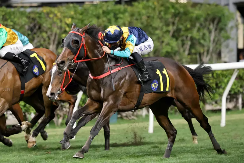 Everstar & A Americ Te Specso Headline Happy Valley's Midweek Card