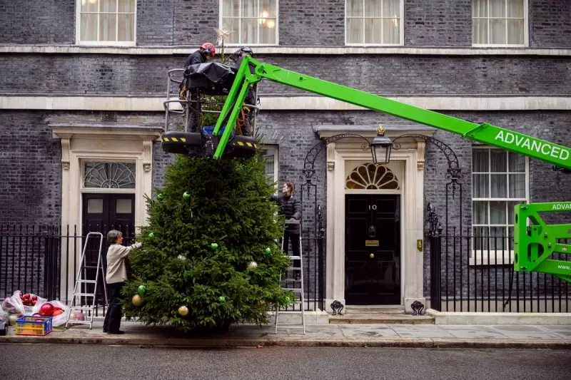 First Look: 2025 Downing Street Christmas Tree Unveiled in London