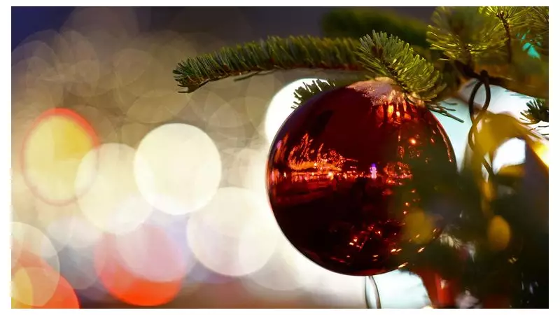 Four Shot at North Carolina Christmas Tree Lighting Ceremony