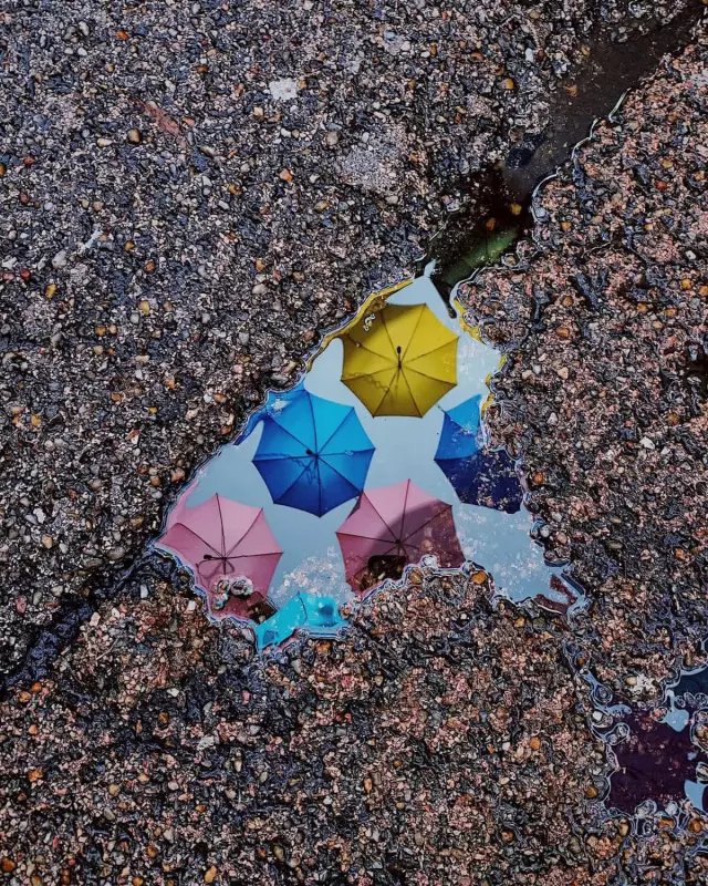 From London Mist to Viral Fame: The Accidental Masterpiece That Won Best Phone Photo