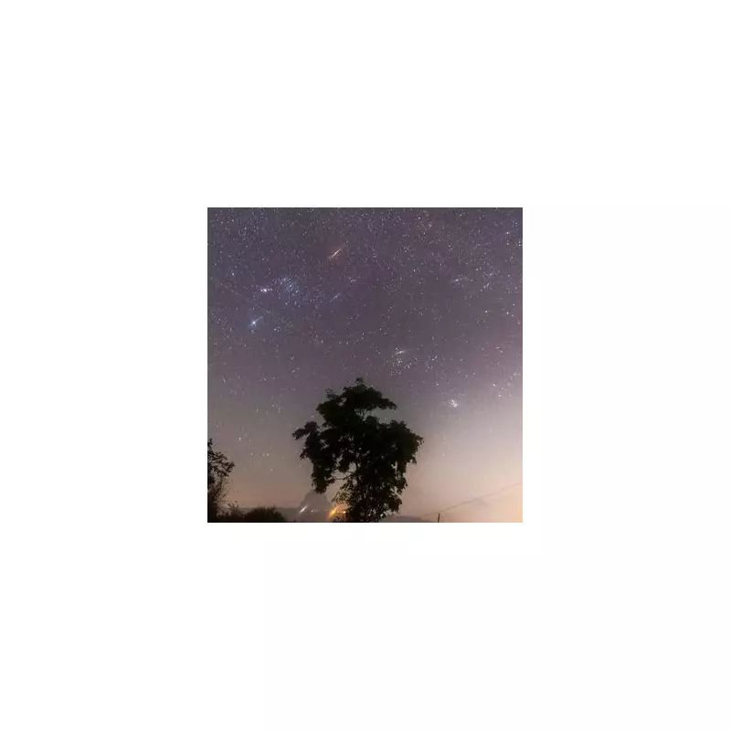 Geminid Meteor Shower 2025: A Multicoloured Sky Spectacle