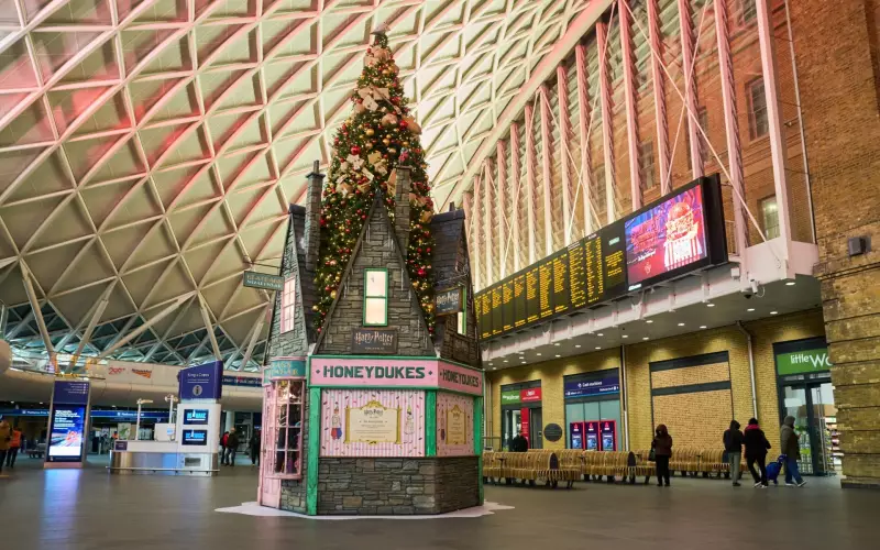 Harry Potter Christmas Tree Unveiled at King's Cross Until 2026