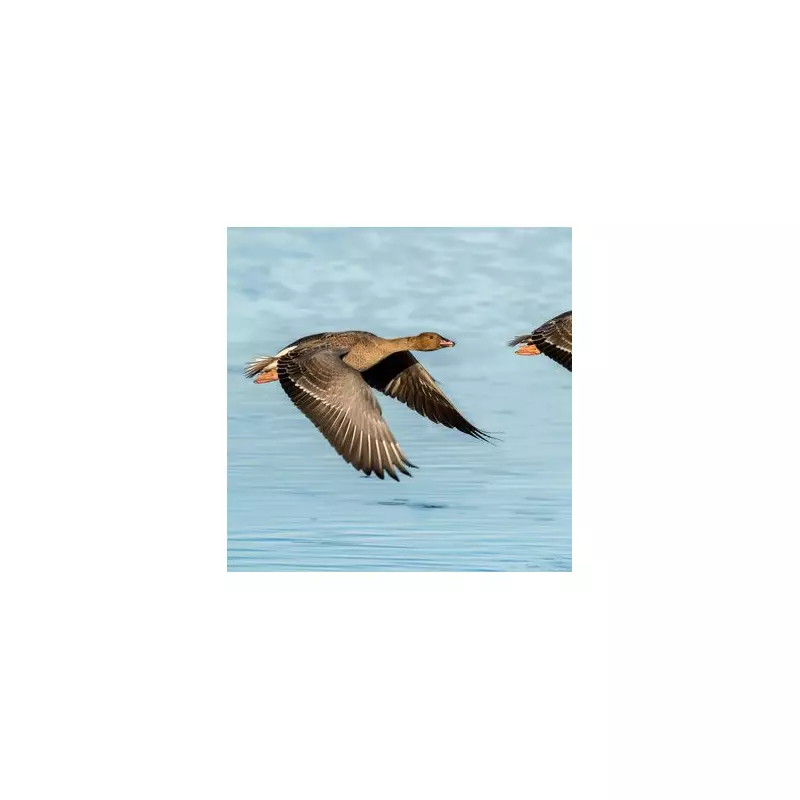 High Court Rejects Oceana UK's Challenge to 28 Oil and Gas Licences