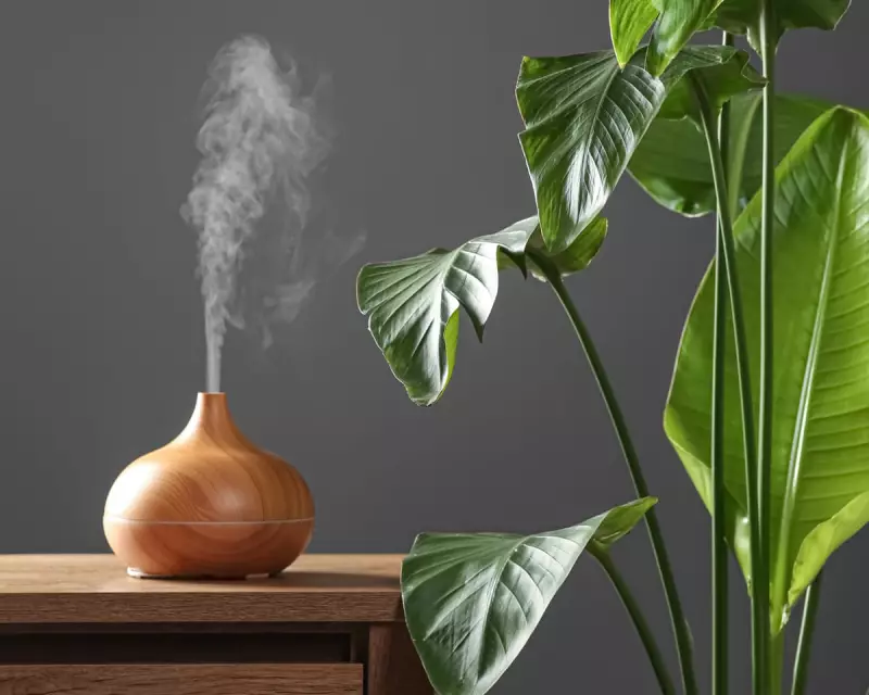 Houseplant Humidifiers: The Secret to Thriving Tropical Plants