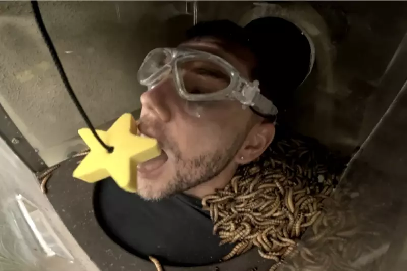 I'm a Celeb 2025: The Truth About Live Animals in Bushtucker Trials