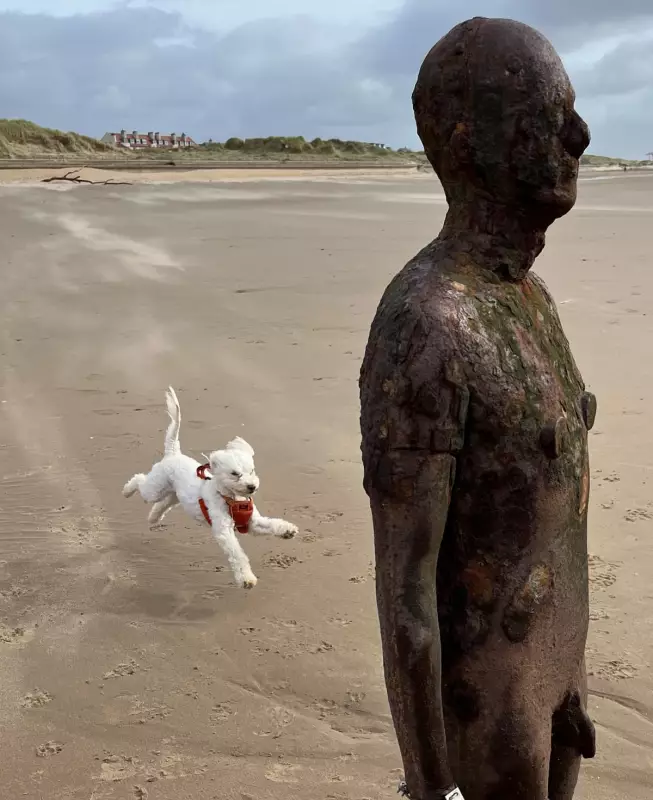 iPhone Captures Perfect Moment at Gormley's Crosby Beach Statues
