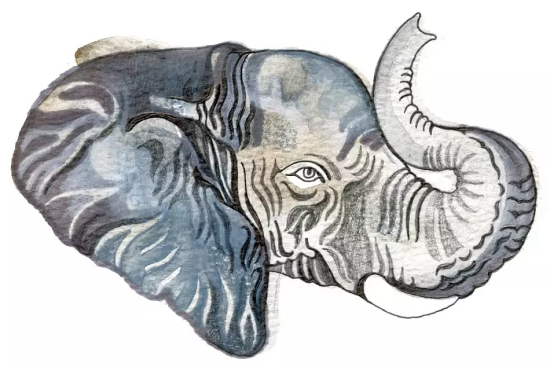 Kids' Quiz: Elephant Brains & Spiky Cacti Questions Set By Children