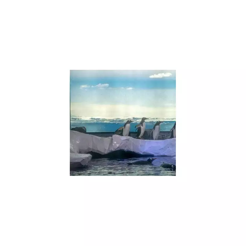 London Aquarium Faces Pressure Over Penguin Welfare in Basement Enclosure