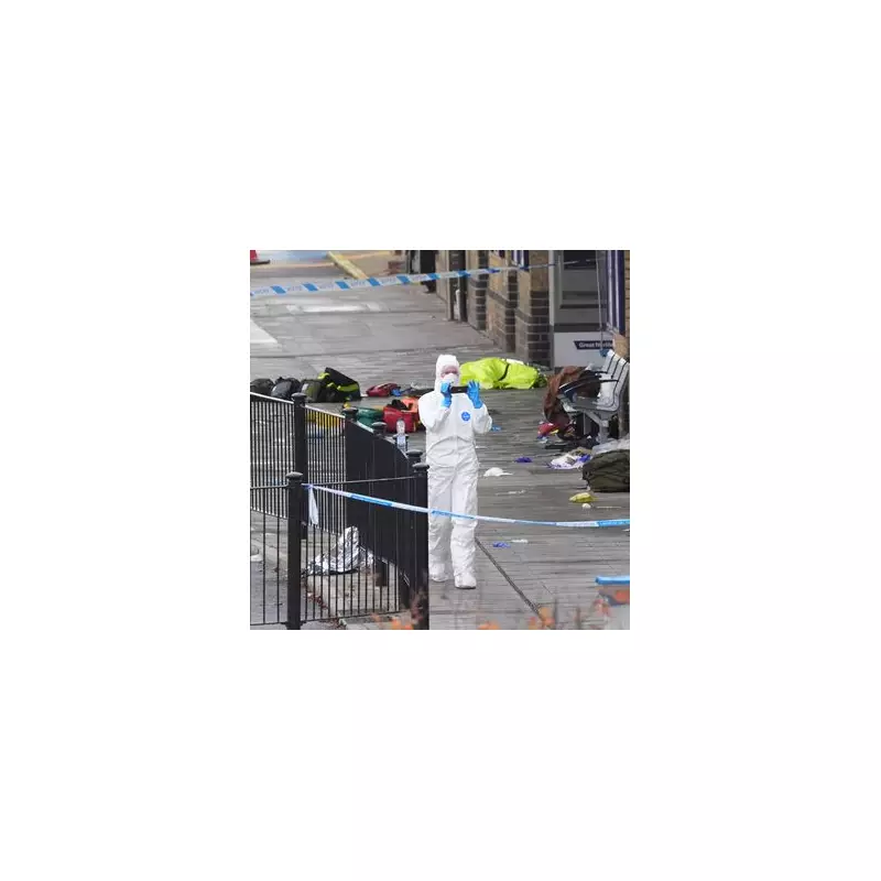 London Transport Under Scrutiny: Full Timeline of TfL Incidents Sparking Safety Investigations