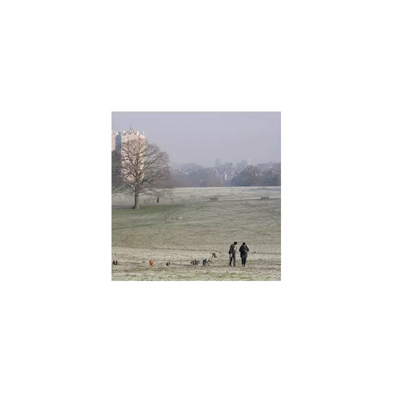 London's Best Winter Walk & Top UK Pub in Brockwell Park
