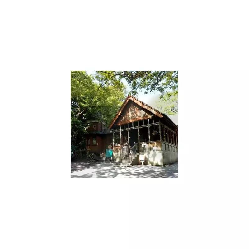 London's Fairy Tale Café Hidden in Ancient Woodland Near Tube