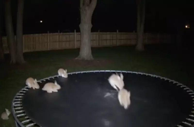 Macquarie Dictionary Crowns 'AI Slop' as 2025's Word of the Year