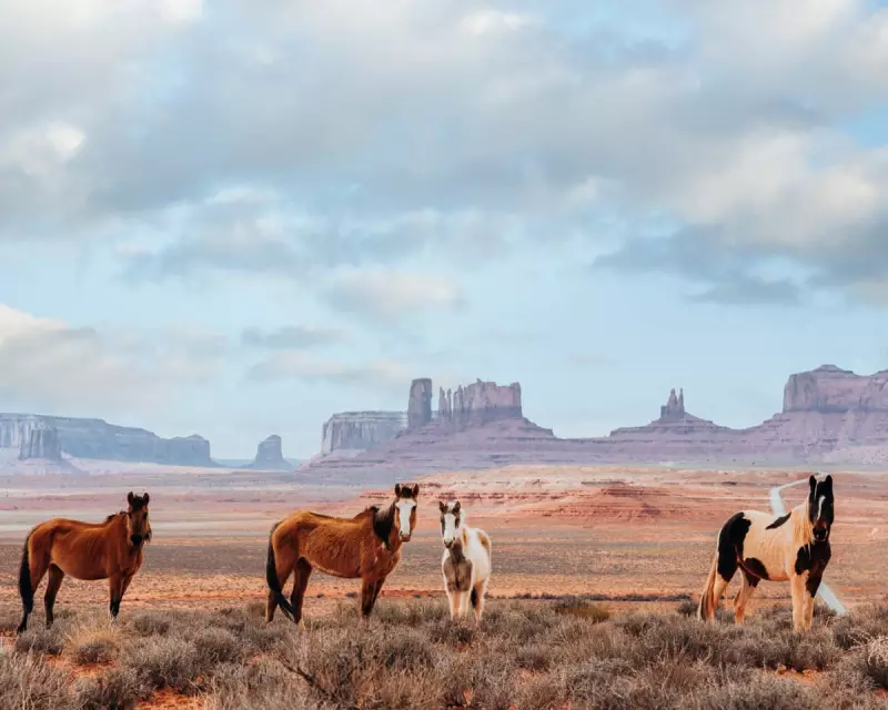 Mark Z Danielewski Returns With Epic 1200-Page Western 'Tom's Crossing' | The Guardian