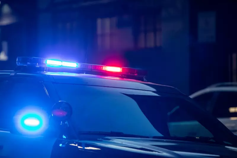 Missing Louisiana Girl Found Alive in Cardboard Box in Pennsylvania Woods in Dramatic Rescue